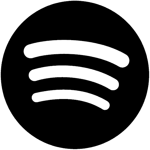 Zum Spotify-Profil von Webdesigner Klemens Wieringer